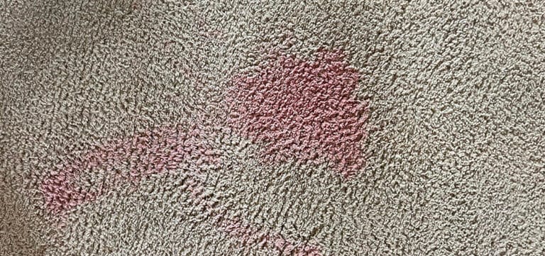 how to remove red gatorade stain from carpet