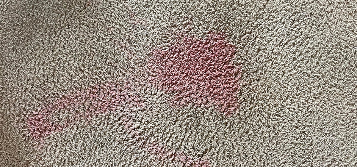 how to remove red gatorade stain from carpet